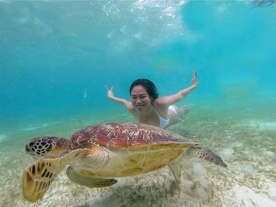 Tauig Beach Resort Moalboal Eksteriør bilde